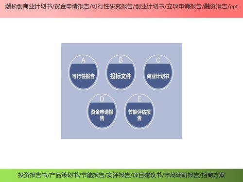 滄州市項(xiàng)目招投標(biāo)書產(chǎn)業(yè)規(guī)劃ppt資金申請報(bào)告ppt投資亮點(diǎn)