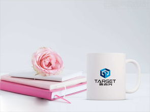 北京泰吉興投資公司標(biāo)志設(shè)計(jì)案例圖片與理念說(shuō)明 北京西風(fēng)東韻設(shè)計(jì)公司